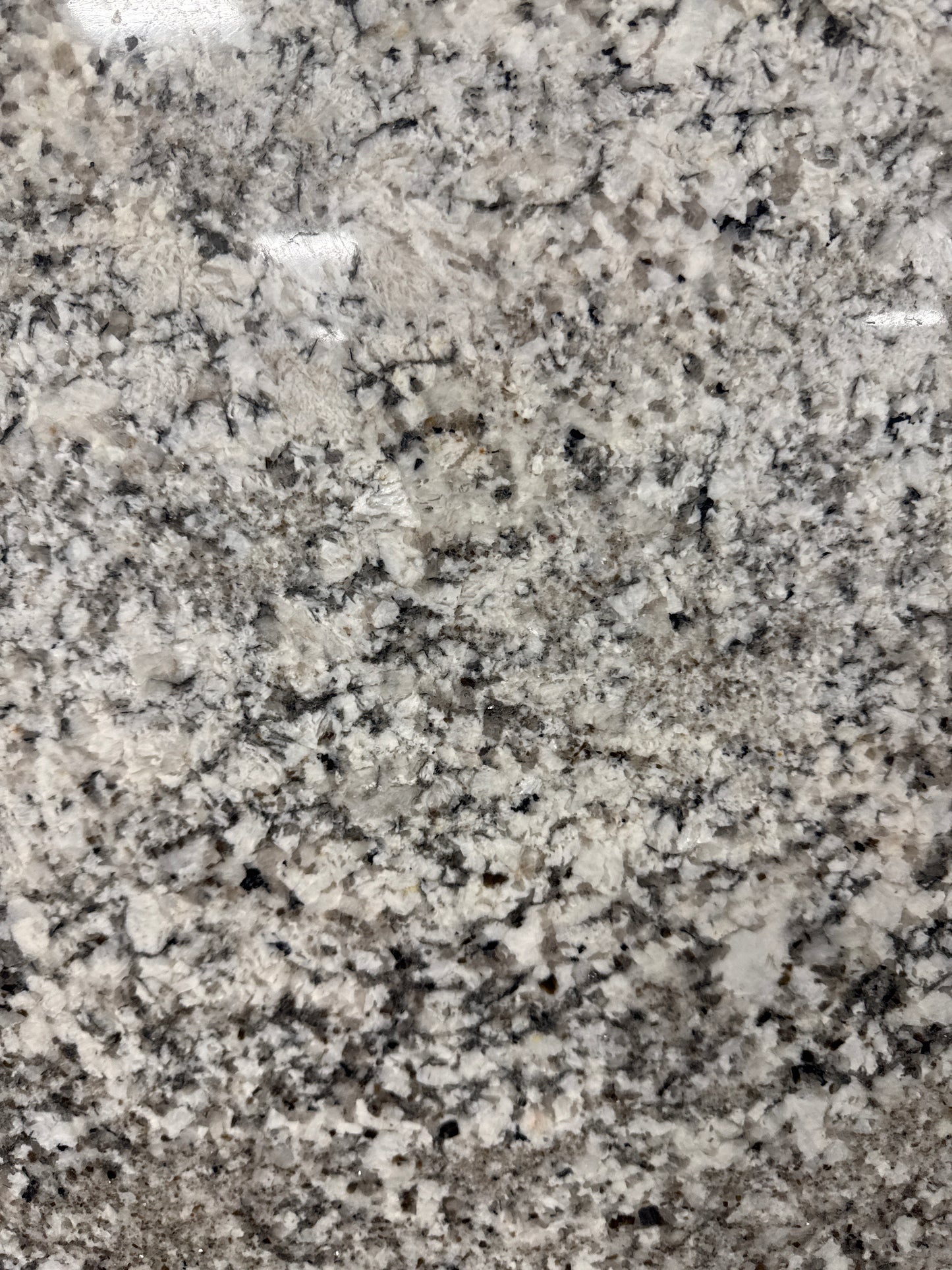 Saddle White