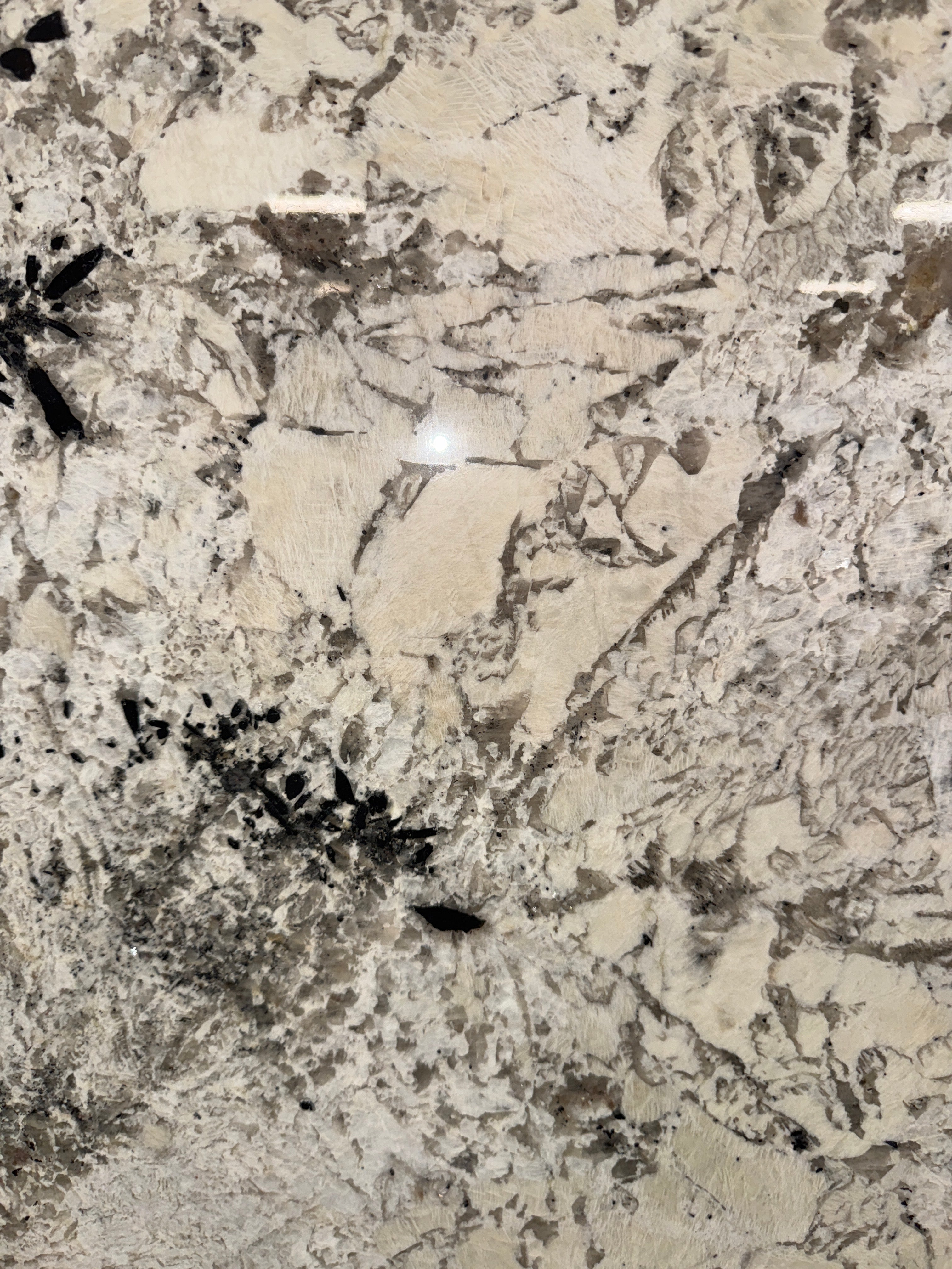 Adonis White – Daltile Philadelphia