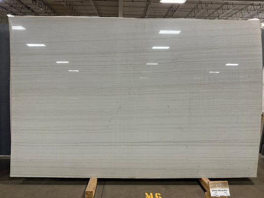 White Macabus